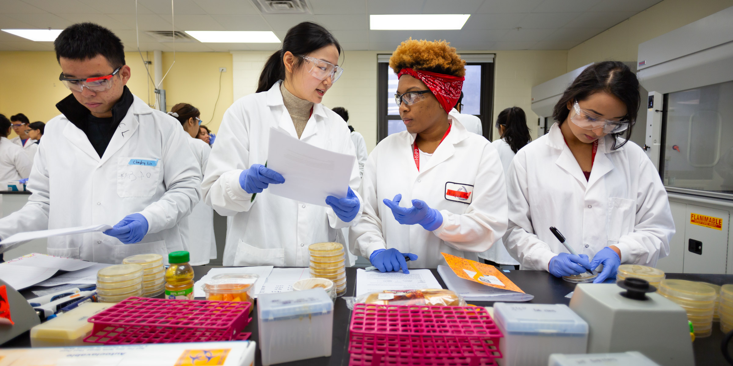 Food Science and Nutrition (B.S.) | Illinois Institute of Technology