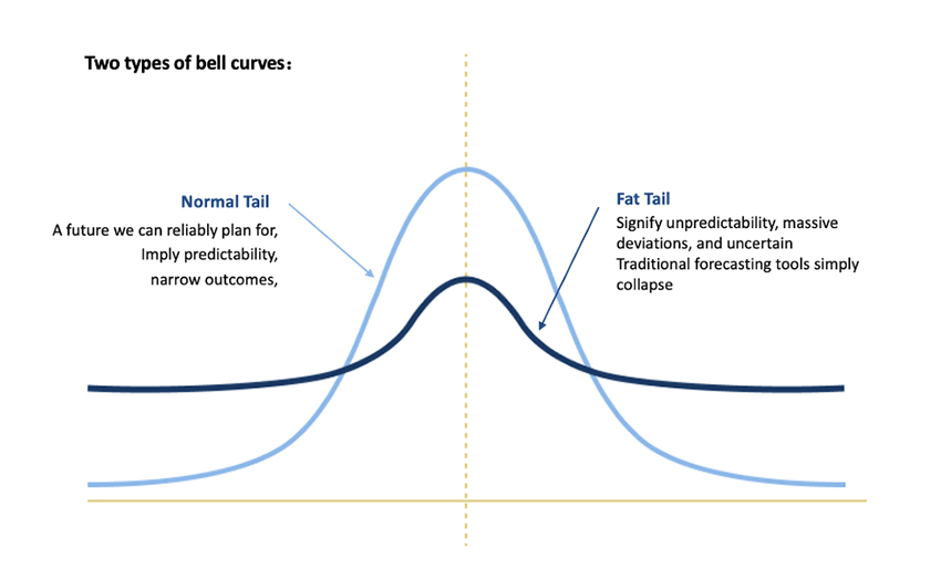 Normal and Fat Tail