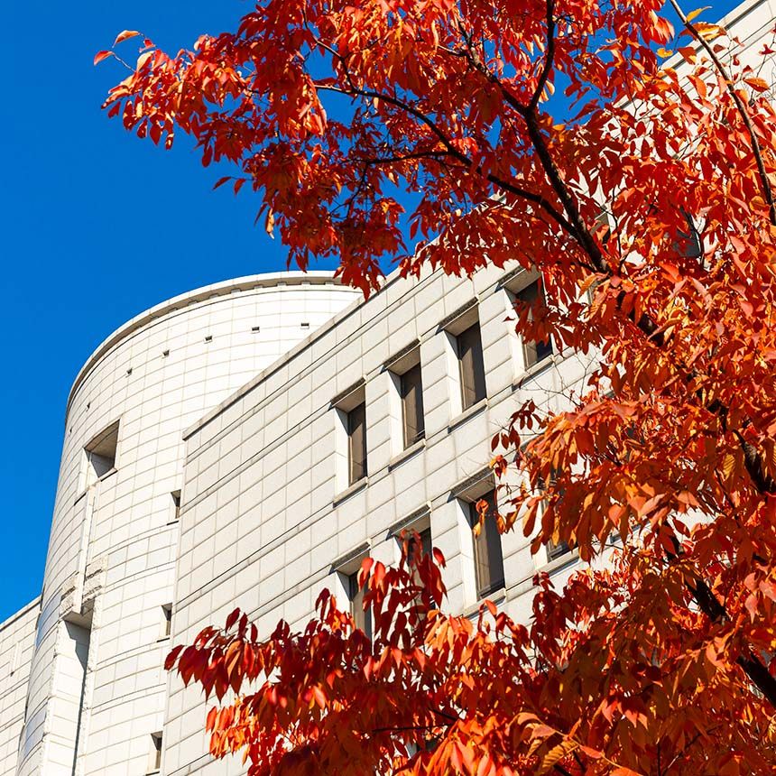 Bright orange autumn leaves in the foreground frame the modern white stone facade of a university building against a clear blue sky.