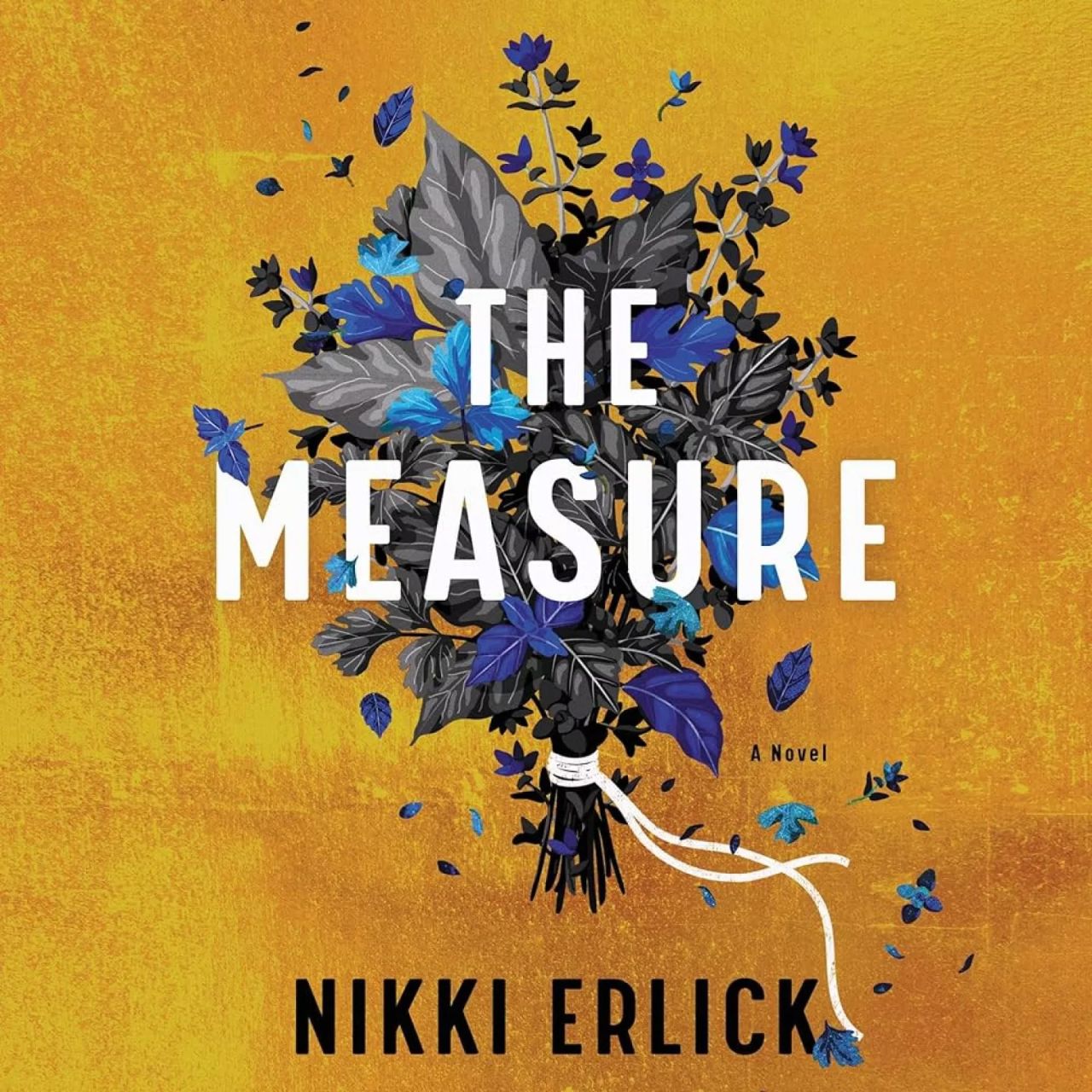 Book cover of The Measure by Nikki Erlick