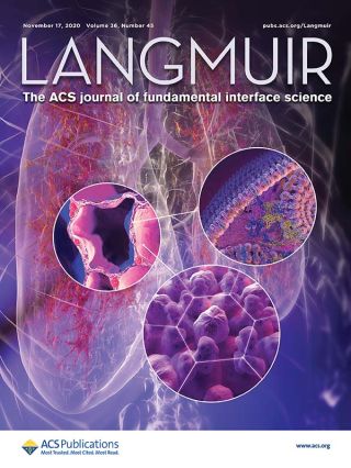 David Gidalevitz Langmuir Publication