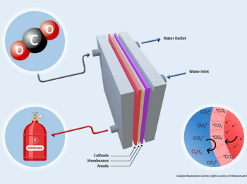 Diagram showing Asadi Science paper