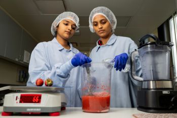 Illinois Tech graduate students work in the Center for Nutrition