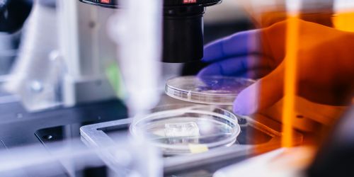 close up shot of petri dish and microscope with lab background